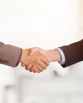 Accompagnement & Conseils en référencement naturel